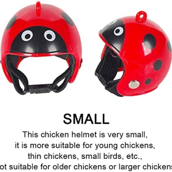 Chicken Bird Duck Quail Pet Helmet Hat Headgear Protection Helmet Red Metallic - Picture 3 of 5